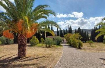 Casita Higo - Foto 29