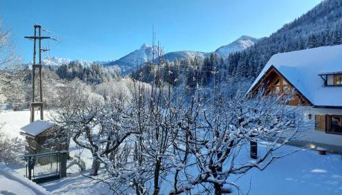 Mountain Apartment Rododendro - Foto 2