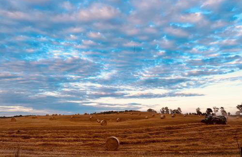 Park Wilkasy - Foto 46