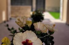 Splendid Villas and Family Resort - Foto 49