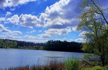 Leśny Domek - Foto 32