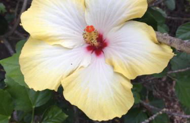 Casa Nonna Maria - Foto 31