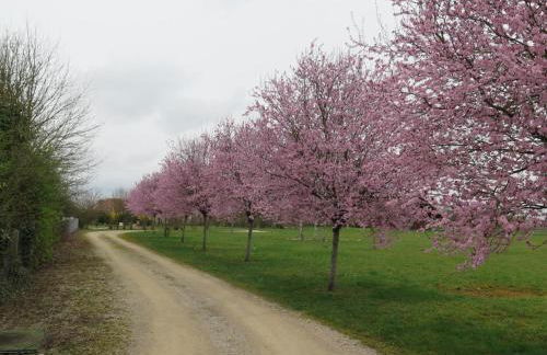Le chalet dans la prairie - Foto 17
