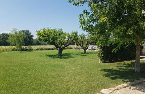 Agriturismo Villa al piano - Foto 60