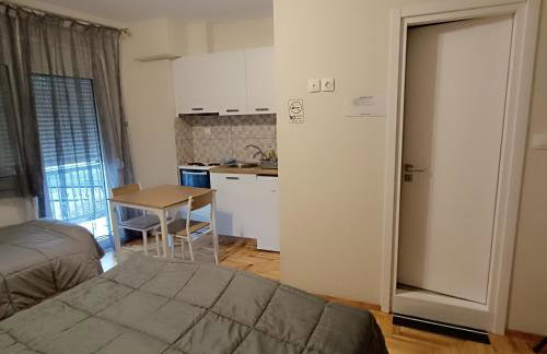 Deskati Plaza Apartments - Photo 7