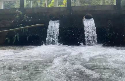 Casa com Igarapé - Photo 22