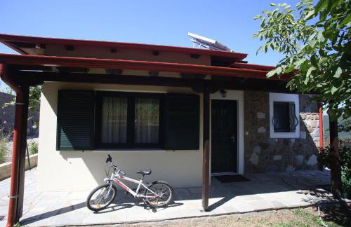 Boletus MushROOM - Foto 25