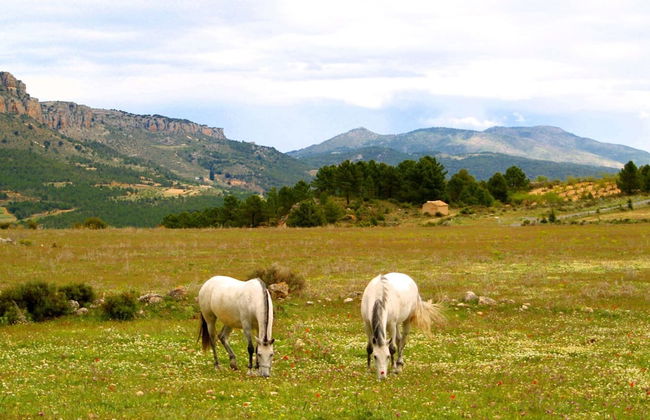 Casa rural El Salero en Moratalla - Foto 40