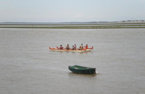Gites aux oiseaux - Foto 30