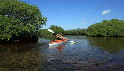 Harbor Towers Ocean View Escape - Foto 4