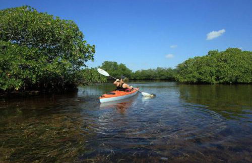 Lulu's Key House Kemp Ridley 1/1 Downstairs - Foto 50