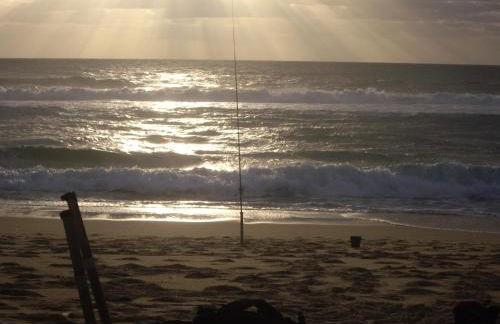 Salamandre et Hippocampe - Foto 45