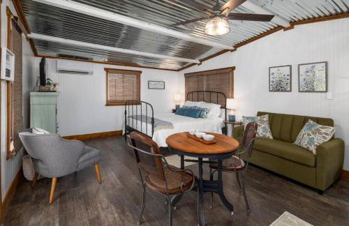 NEW! Ladybug @ Firefly Grove w/ Blanco River Access - Foto 1