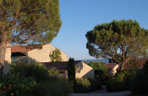 Cyprès du Paradis à Gordes - Photo 23