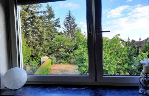 Gemütliche, helle Wohnung im Luftkurort Dansenberg - Photo 30