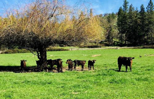 Secluded Farm Stay for a Perfect Oregon Glamping Experience - Foto 30