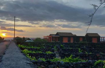 Paraíso do Triângulo - Photo 11