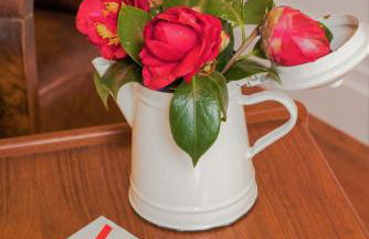 Herdade do Ananás - Photo 43