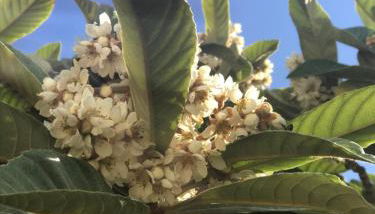 La casetta di Giò - Foto 4