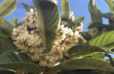 La casetta di Giò - Foto 4