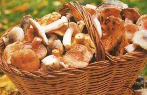 Apartament al cor de la Vall de Camprodon - Foto 29