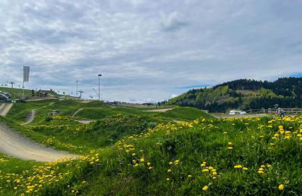 INSIDE WINTERBERG - Design Apartment - Ski Bike Sauna - Foto 25