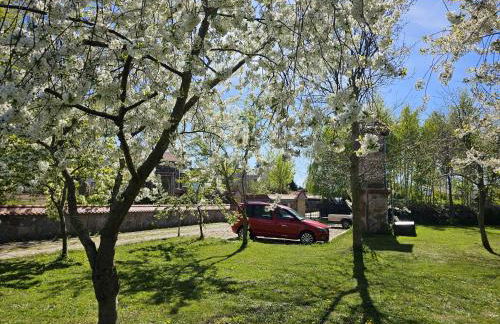 Hof am Meer "Seemöwe" - Foto 26