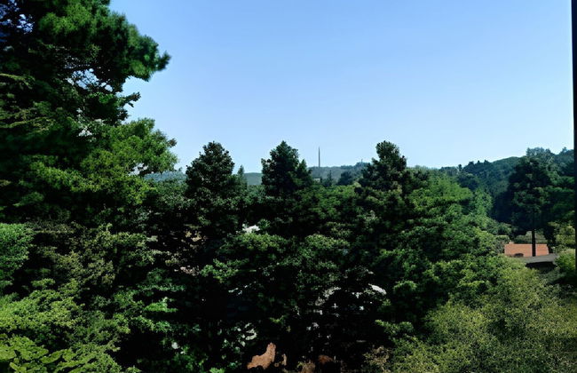 Siga Gramado: Complete Apartment - Foto 72