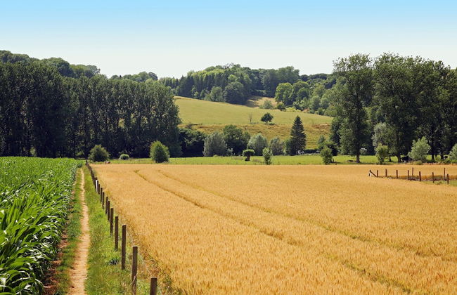 Lovely Farmhouse in Wijlre near Forest - Foto 20