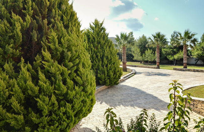 Leone Luxury Villas - Foto 63