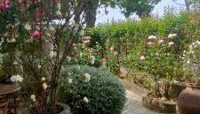 Vintage House by the Sea - Foto 3, Garden view