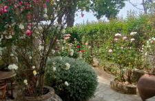 Vintage House by the Sea - Foto 3