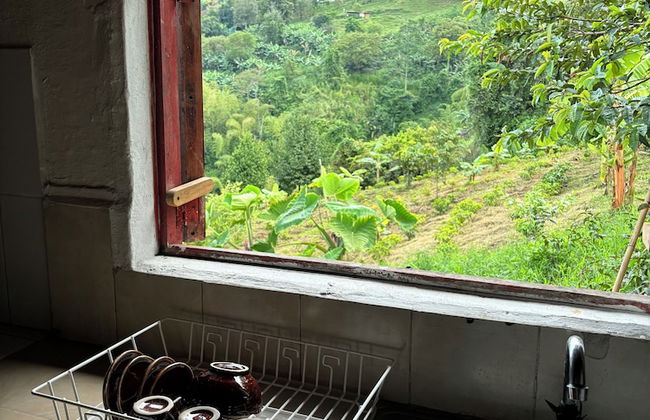 Finca La Macarena by Welttisch - Photo 58