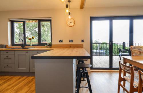 Mynydd Y Glyn Lodge - Foto 11