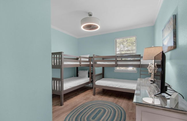 Shell Yeah! - Photo 8