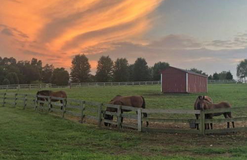 The Farm at Fox Hollow - Foto 13