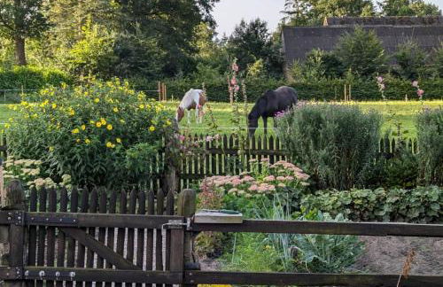 Ferienhaus Jantzen - Foto 10