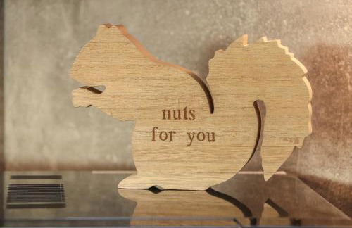 Red Squirrel - Foto 11