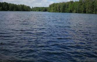 Holiday Home Natur by Interhome - Foto 14