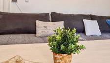 Villa O Canto da Parra - Hot Jacuzzi - Swimming Pool - WIFI - BY BEDZY - Foto 4