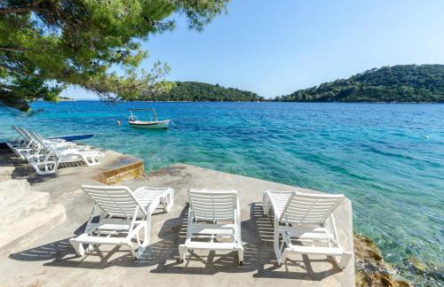 Pine Tree Apartment Zanetic - Photo 36