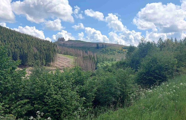 Terrace Retreat in Winterberg - Foto 21