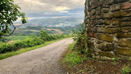 Casale Rustico ColleBello - Foto 4