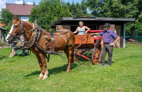 Mountain Escape house with indoor pool - Foto 50