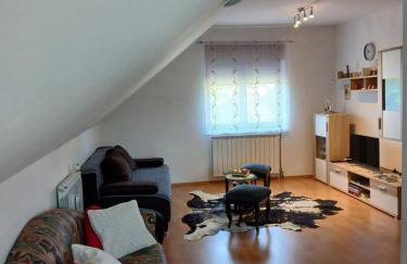 Apartman Skender 3* Ravna Gora - Foto 72