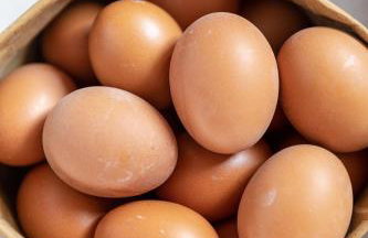 Erikousa Palace - Foto 31