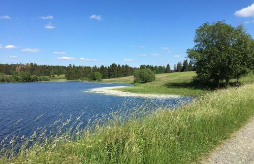 Harz Apartment 'Storchennest' mit Seeblick - Bubo am See - Photo 26