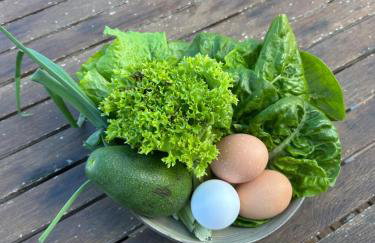 La colina buena - cosy casita for nature lovers - Foto 29