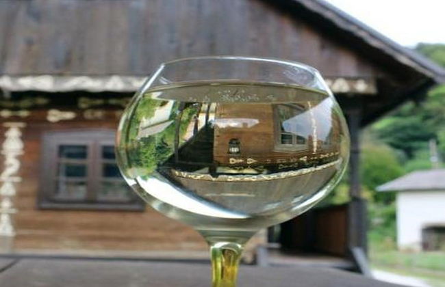 Tradicionalna Zagorska Drvena Kuća Stara Murva - Foto 15