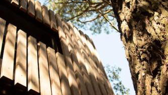 Vaimiti, cabane cosy sous les pins (50m de la plage) - Foto 2